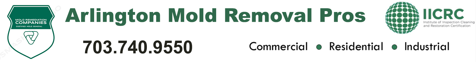 Arlington Mold Removal Pros